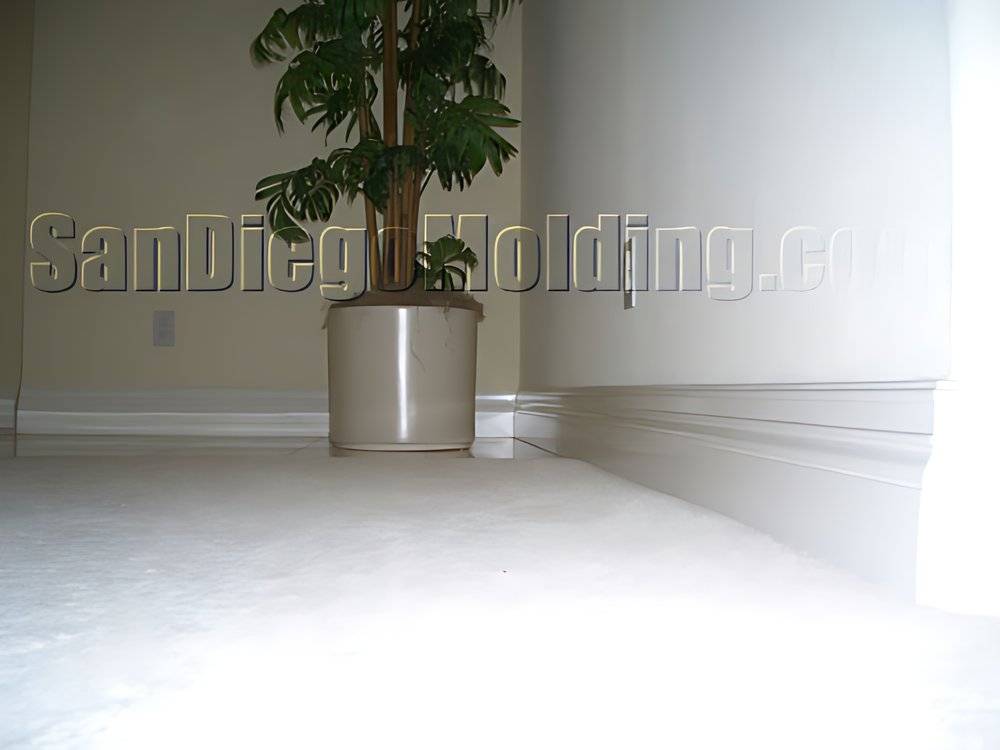 Project 5, photo 6