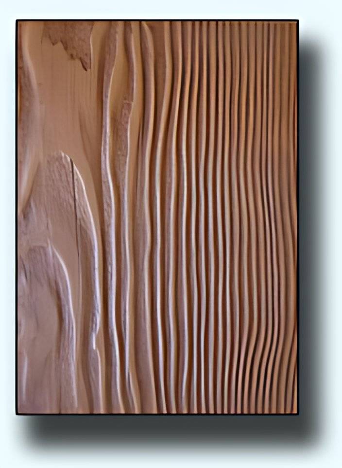 Project 11, photo 1
