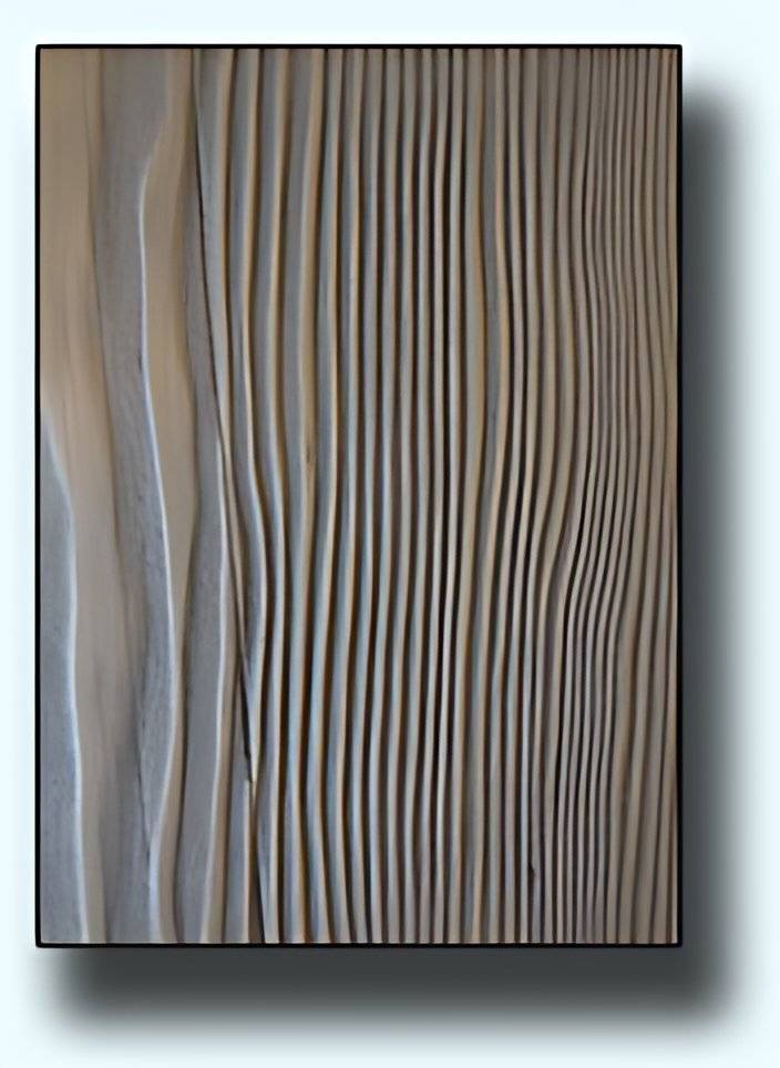 Project 11, photo 4