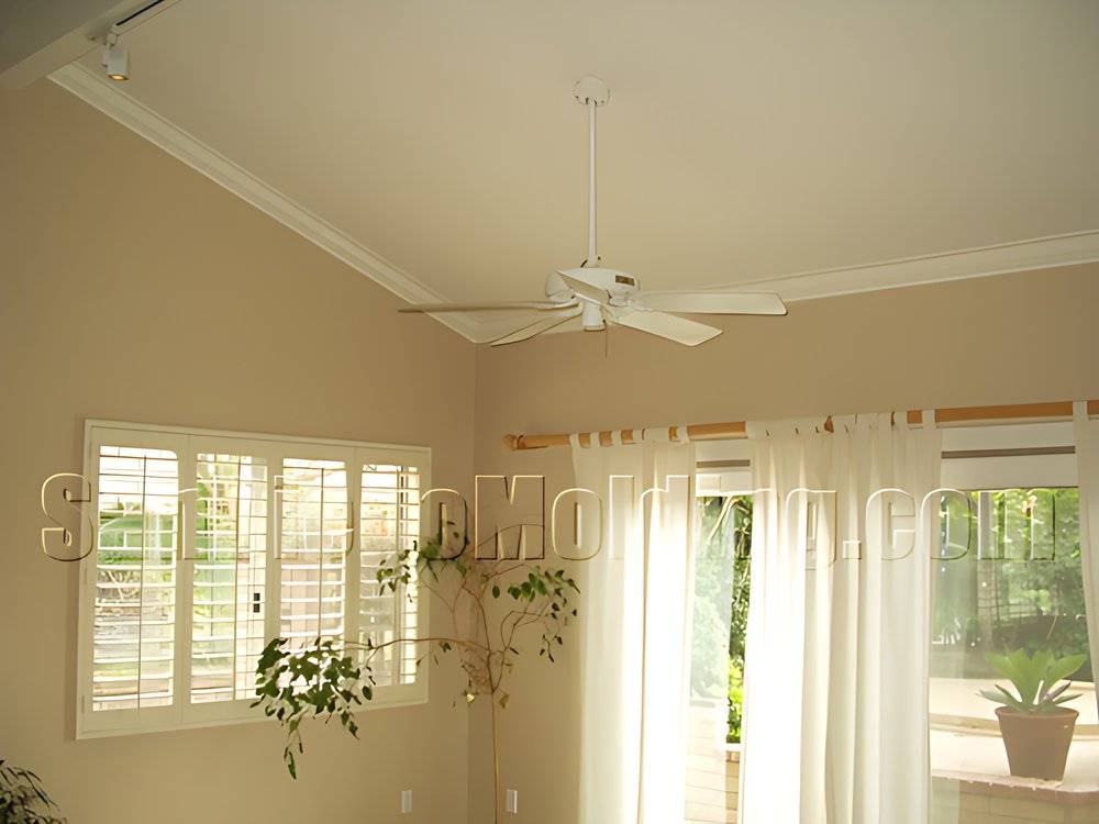 Project 4, photo 7
